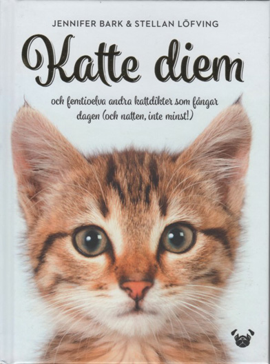 Kattbok