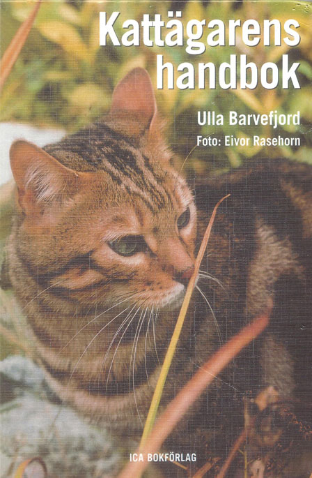 Kattbok