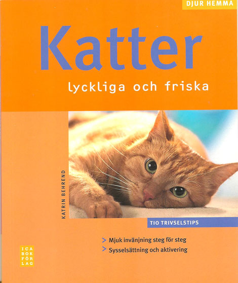 Bok