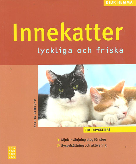 Bok
