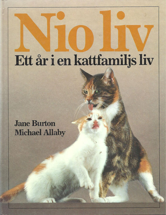 Bok