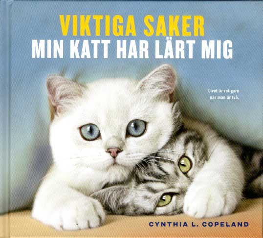 kattbok