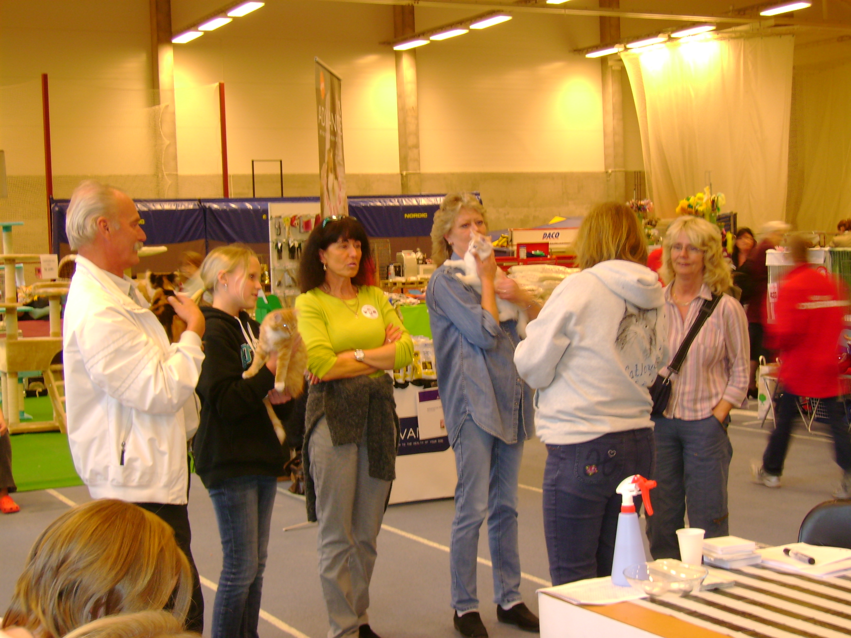 Kattutställning