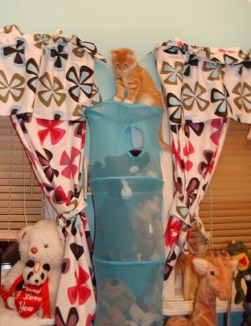 sibirisk kattunge