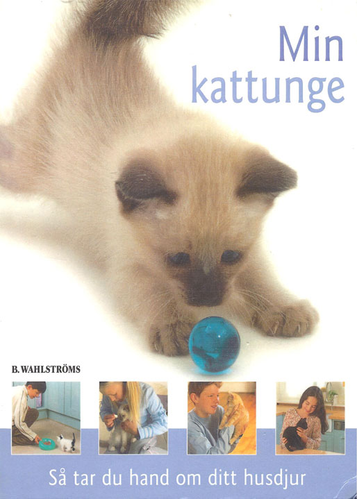 Kattbok