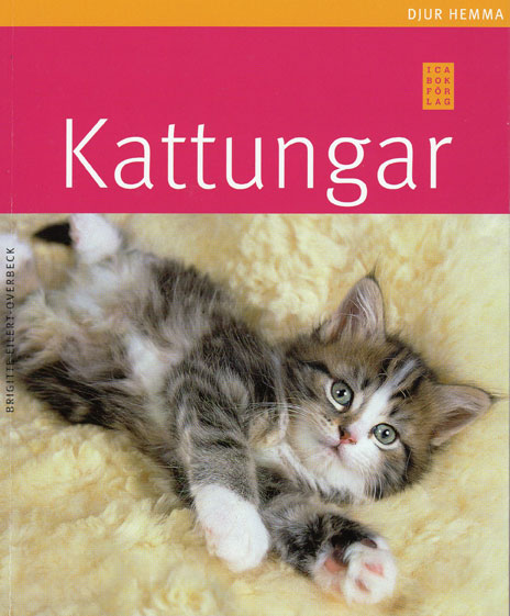 Kattbok