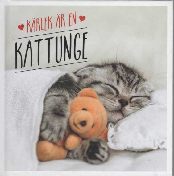 Kattbok
