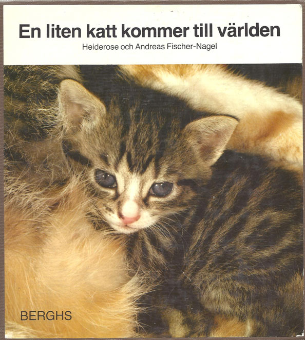 Bok