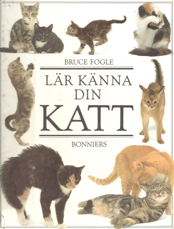 Kattbok