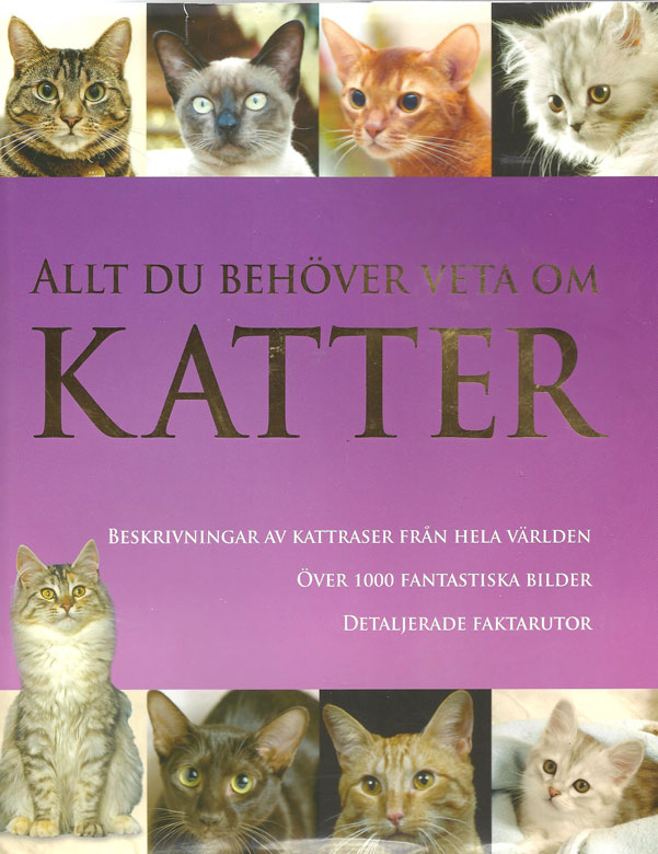 kattbok