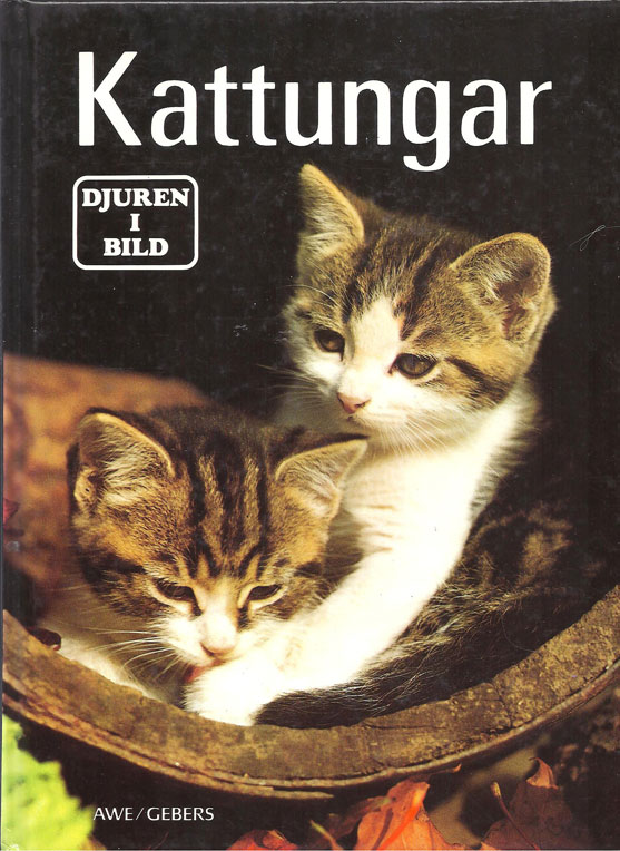Kattbok