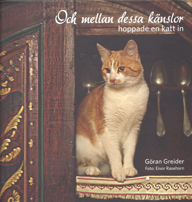 Kattbok