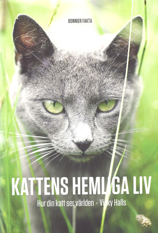 Kattbok