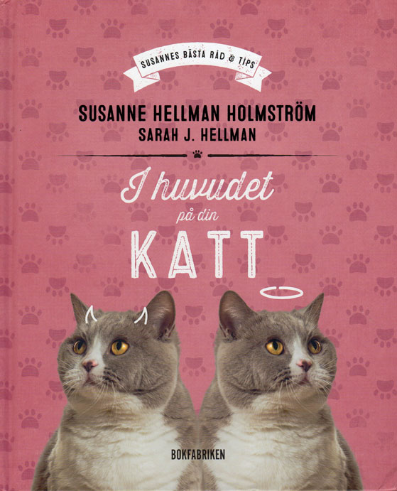 Kattbol