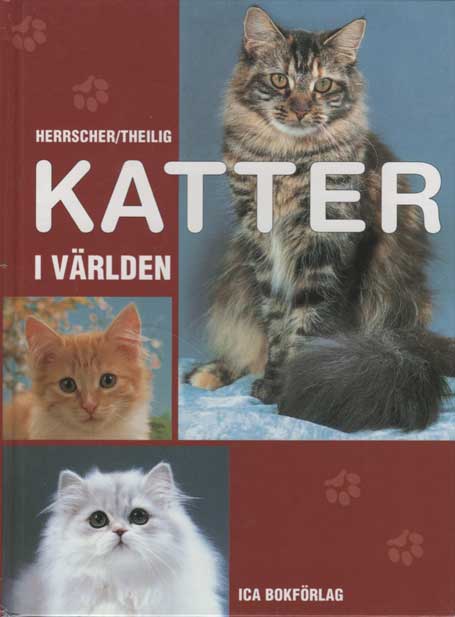 Kattbok