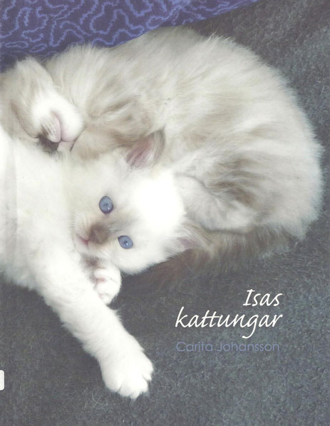 Kattbok