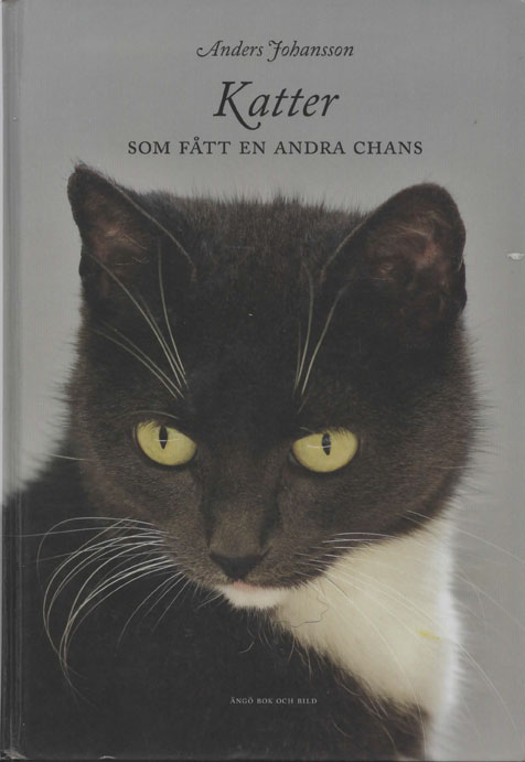 Kattbok