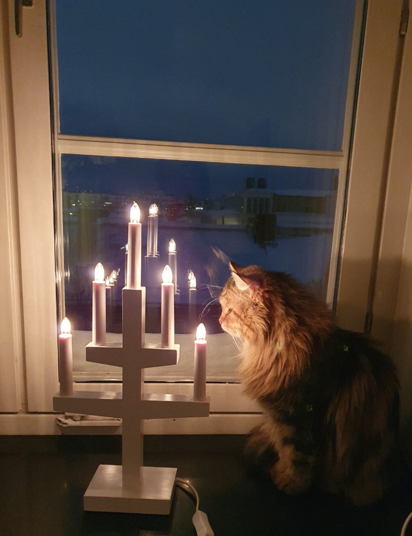 Julkort Yangel