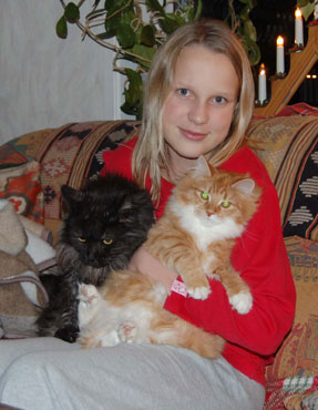 barn och katt
