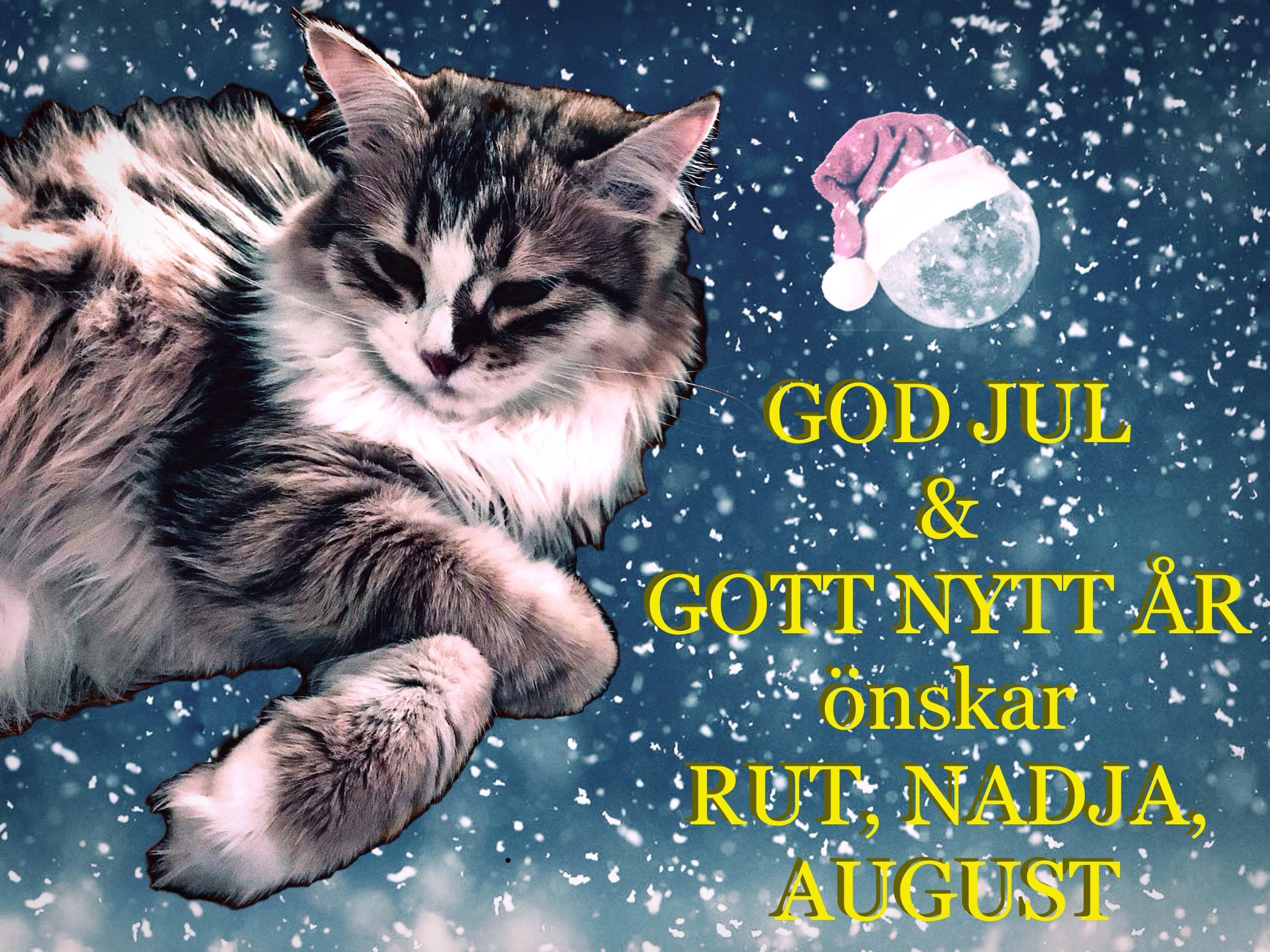JulkortQuadri