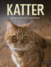 Kattbok