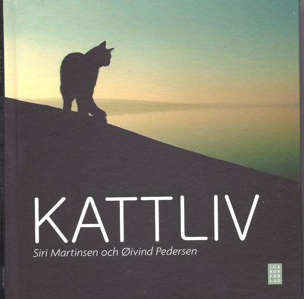 Kattbok