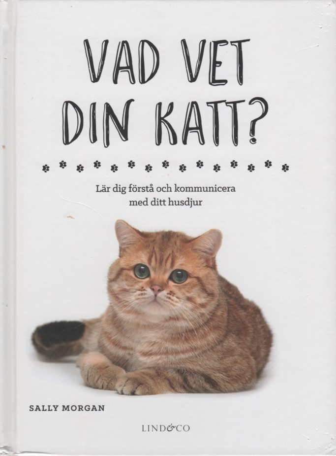 Kattbok