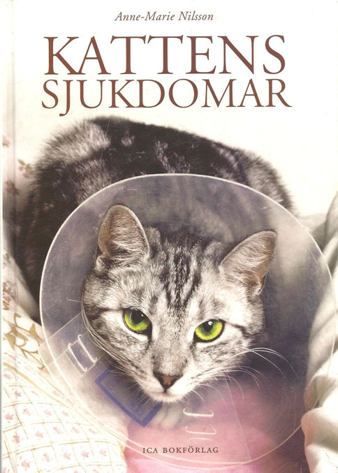 kattbok