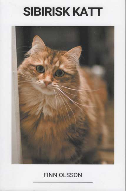 Kattbok