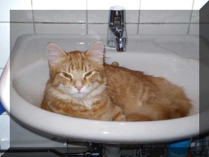 Felix