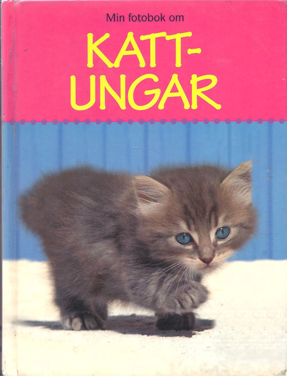 Kattbok