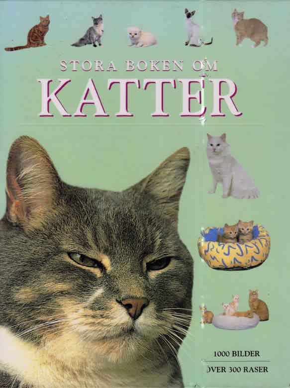 Kattbok