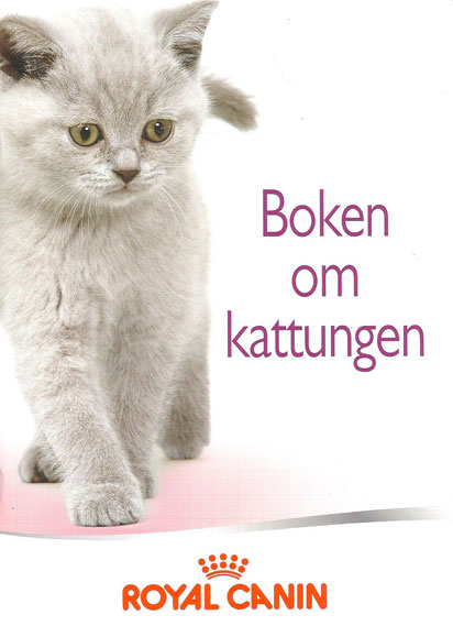 Bok