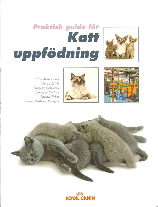 Kattbok