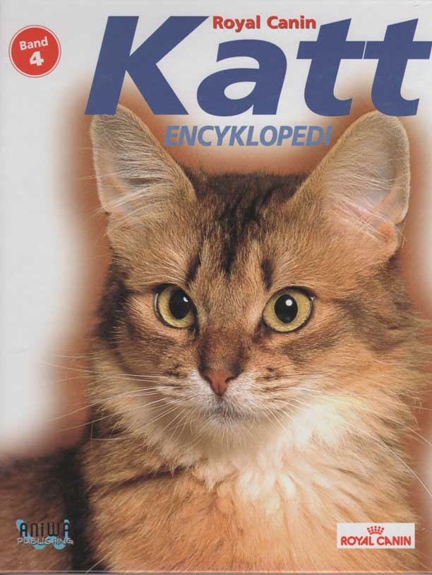 Kattbok