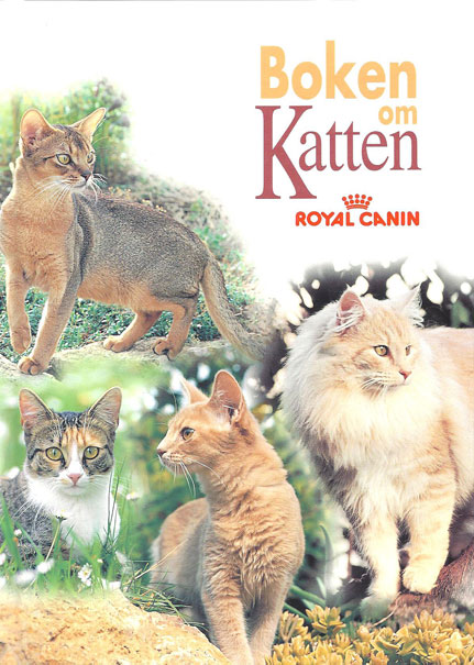 Kattbok