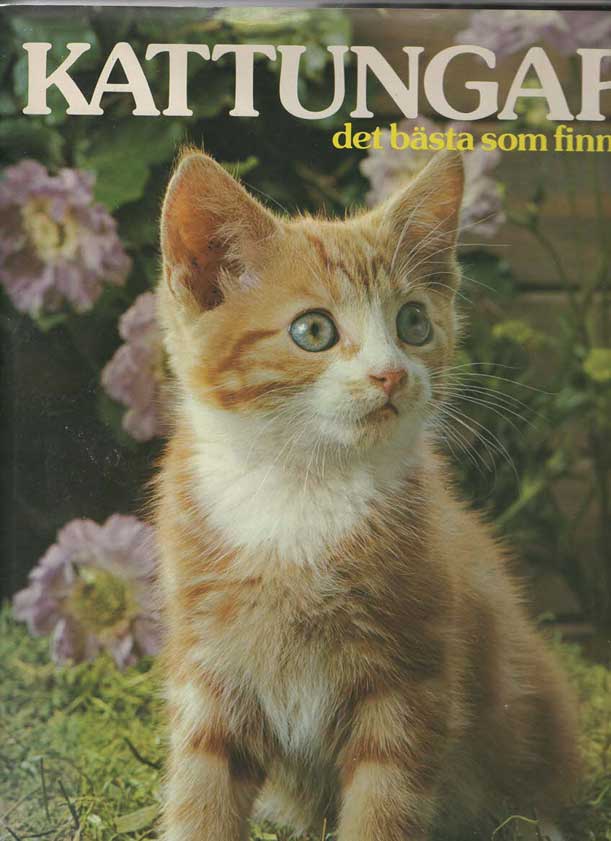 Kattbok