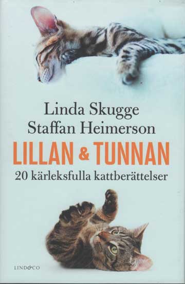 Kattbok