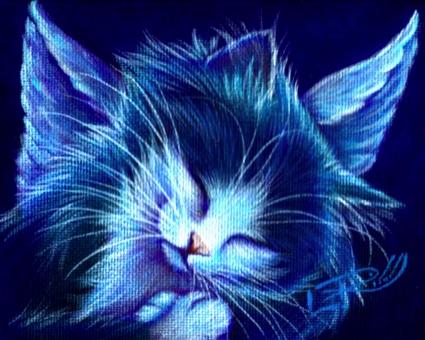 Sovande katt