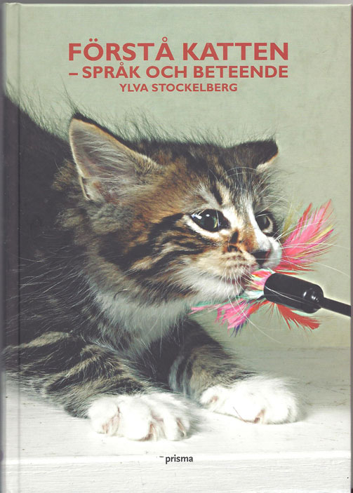 Bok