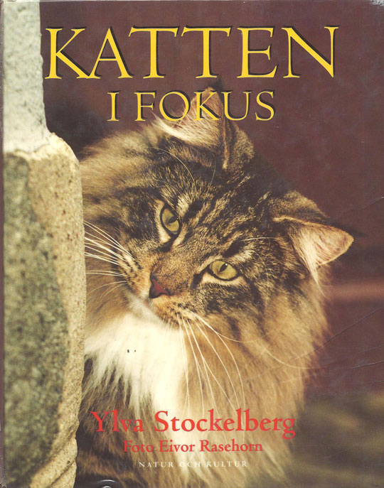 Kattbok