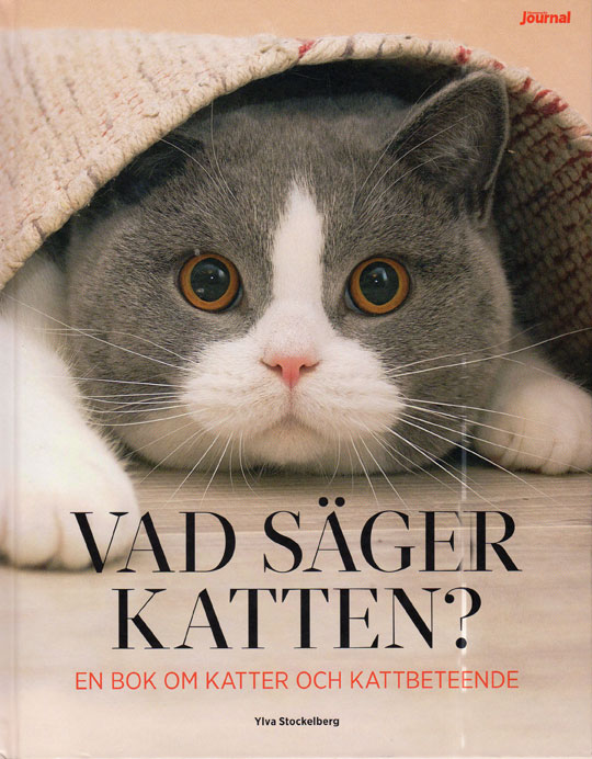 Kattbok