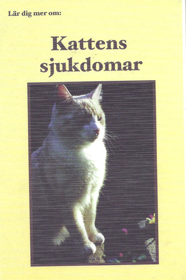 Kattbok