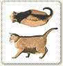 väldigt överviktig katt