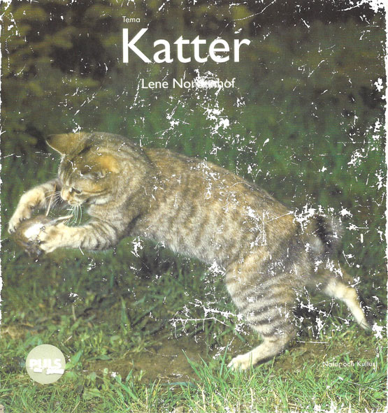 Kattbok