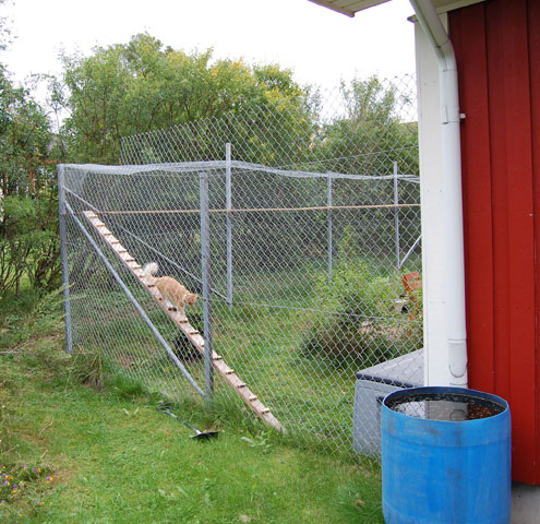 Kattgården