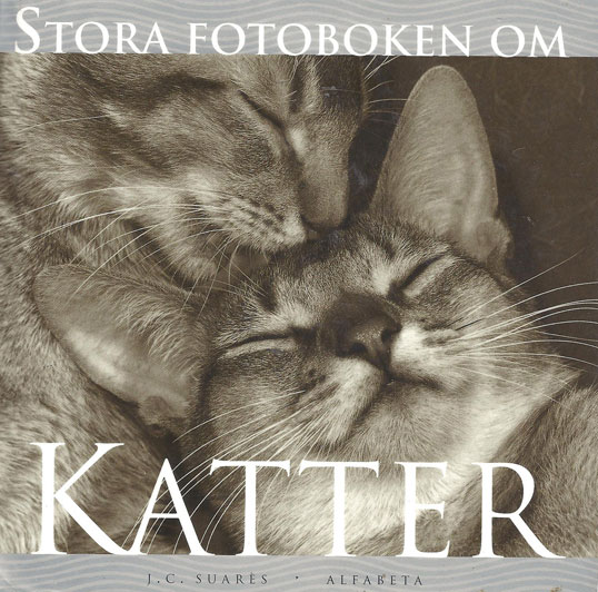 Kattbok